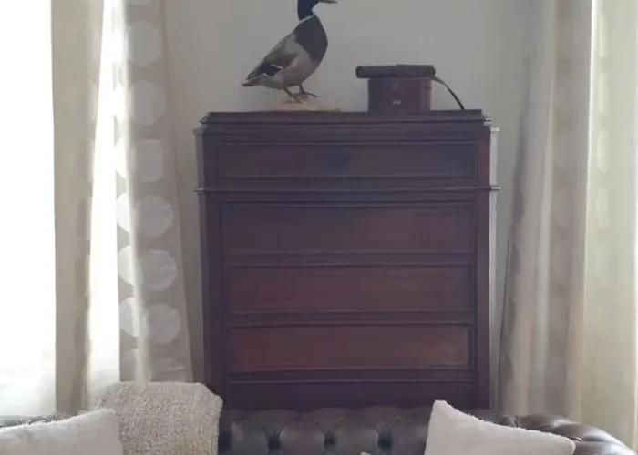 Feriehus Au Bord De La Dronne